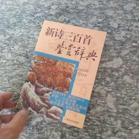 新诗三百首鉴赏辞典