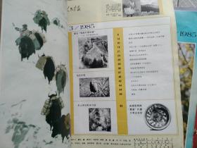 人民画报1985年1、2、3期