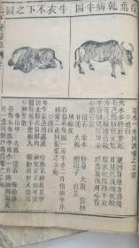 元亨療马集，清代木刻書業德梓，书内大量木刻版经典，画附驼牛经，一套8卷四册完整，直隶泸州府传方，著名书房書業德梓，版刻初印，每册都有藏书印，特殊版本！