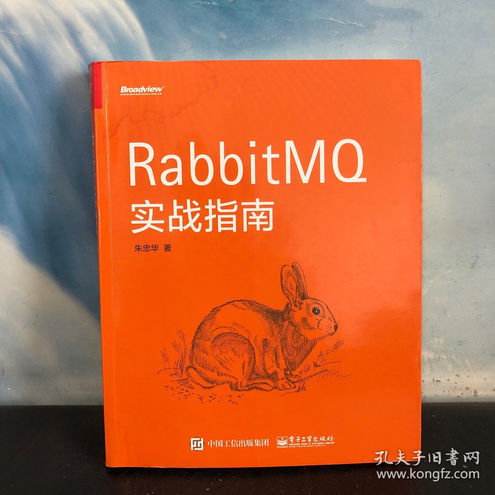 RabbitMQ实战指南