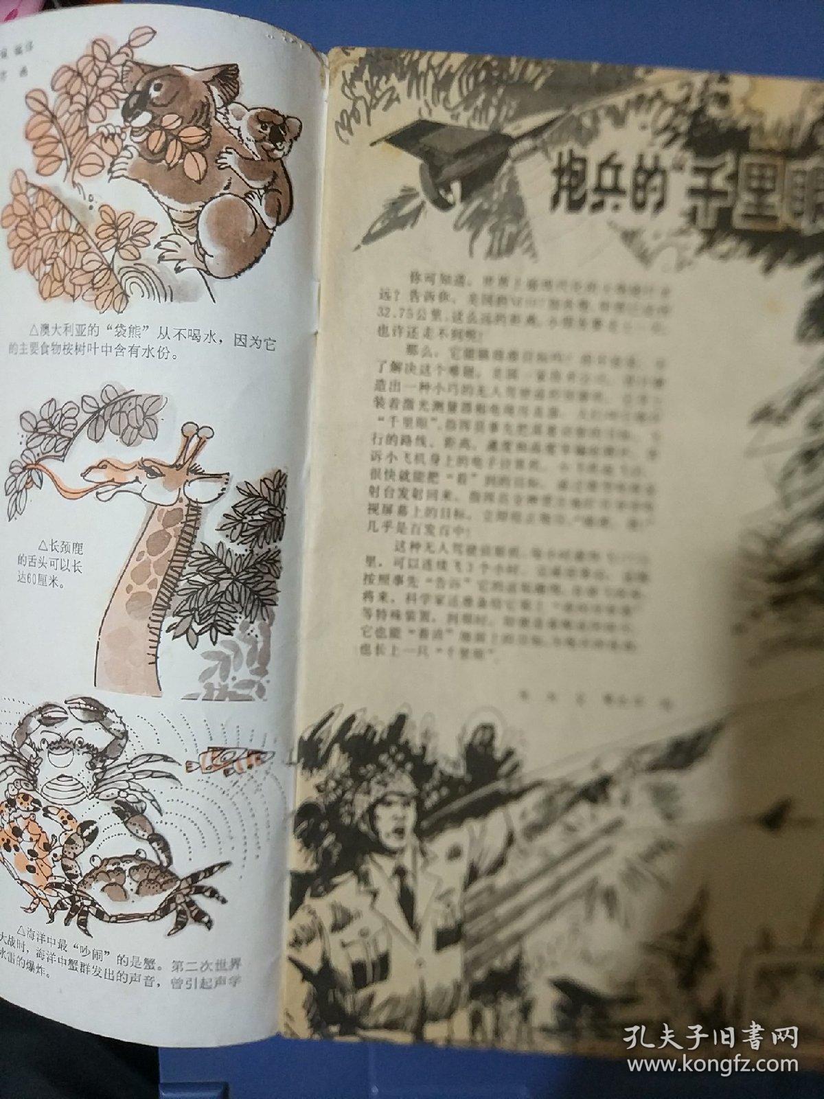 少年科学画报1981年9期