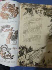 少年科学画报1981年9期