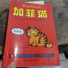 加菲猫1