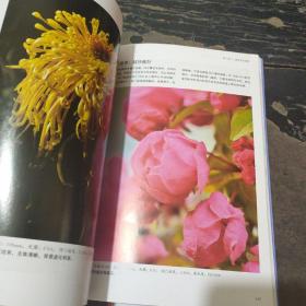 蜂鸟摄影学院新手学摄影（风光篇）