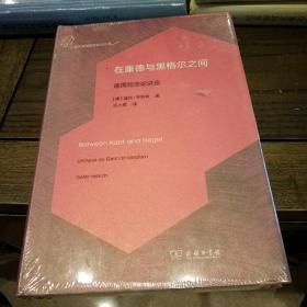 在康德与黑格尔之间：德国观念论讲座(当代德国哲学前沿丛书)