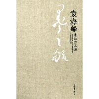 【正版全新】墨之航袁海船书法作品集袁海船9787540128081河南美术出版社2014-04-01（文）