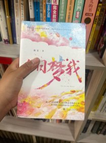 白日梦我