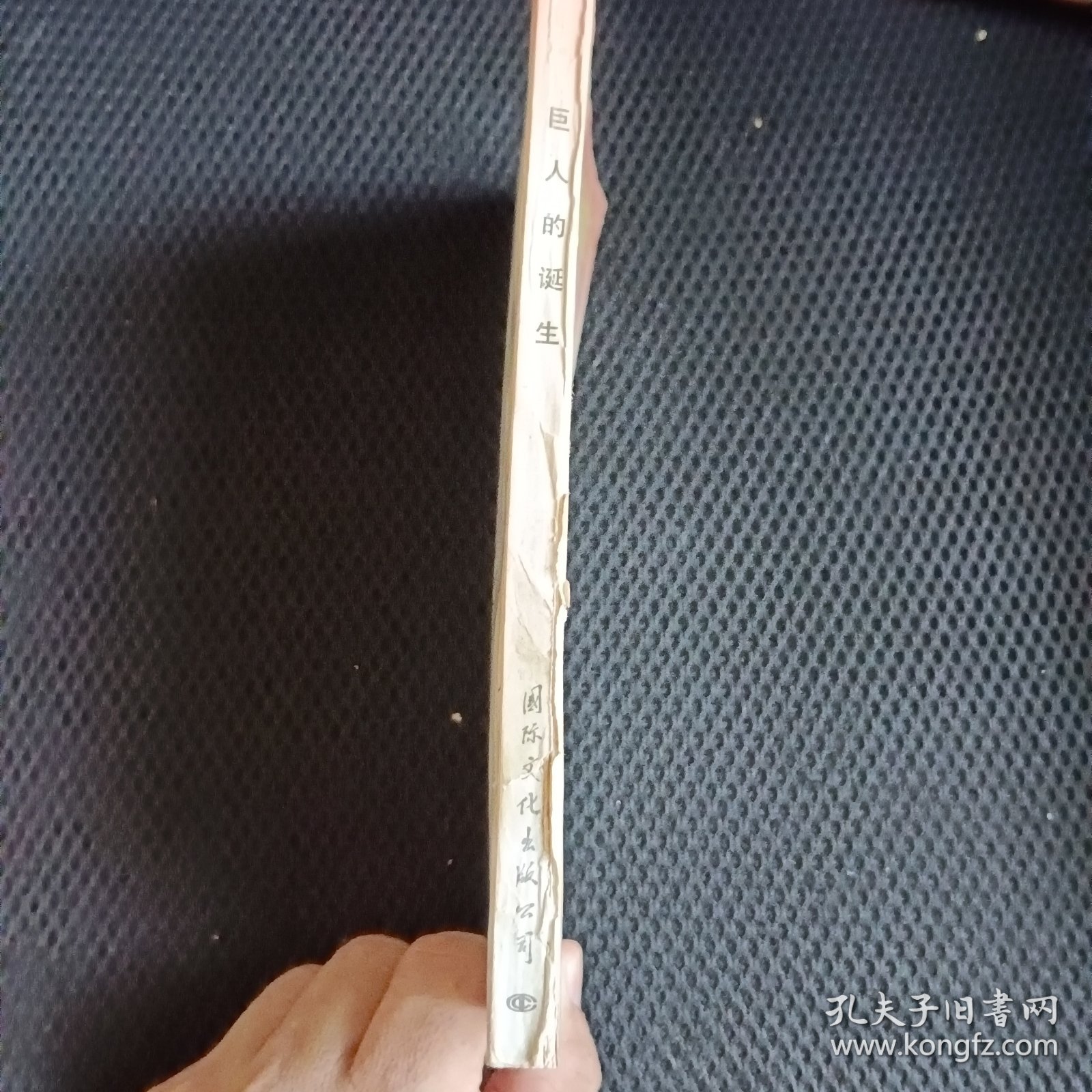 巨人的诞生：毛泽东现象的意识起源及中国近代政治文化的发展