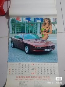 1995年外国美女泳装挂历6张全，塑膜材质。76*50看图自定，二手物品看好拍再拍