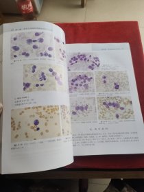 现代血细胞学图谱 精装