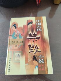 中国古代禁毁小说《万花楼》