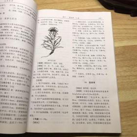 太白本草（编号：20）