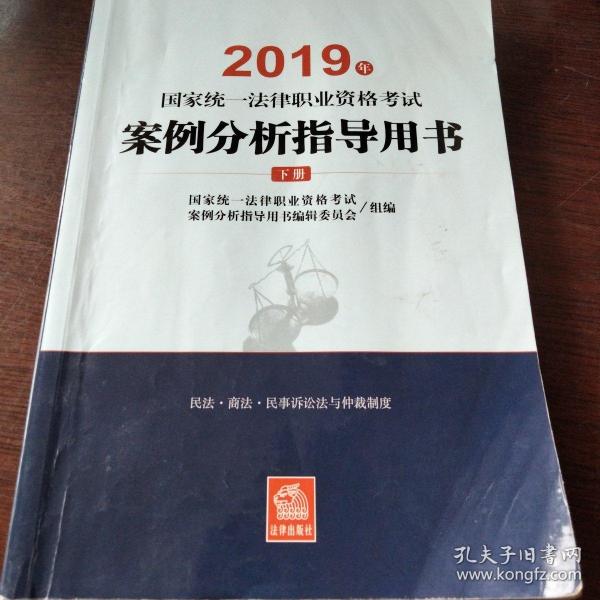 司法考试2019 2019年国家统一法律职业资格考试案例分析指导用书（全2册）