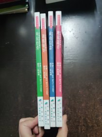 打造组织金字塔（1成功信念、2增员选材、3训练辅导、4单位经营）保险行销丛书 全四册合售