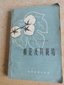 棉花及其栽培 陈布圣 杨曾盛等编著 (1958年一版一印)