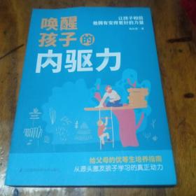唤醒孩子的内驱力。