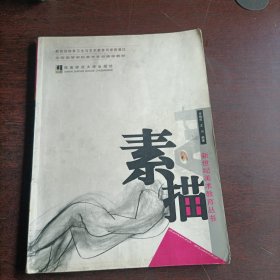 全國高等學(xué)校美術(shù)專業(yè)課程教材：素描