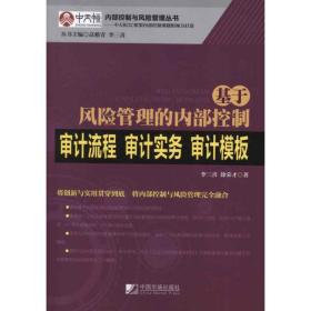 基于风险管理的控制审计流程·审计实务·审计模板 审计 李三喜 新华正版