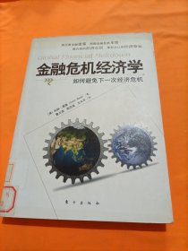 金融危机经济学：如何避免下一次经济危机