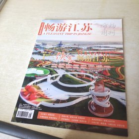 畅游江苏 市场周刊 2021 2