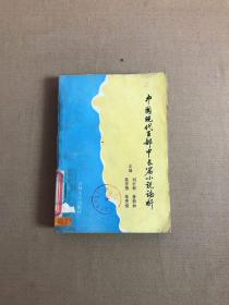 中國(guó)現(xiàn)代百部中長(zhǎng)篇小說(shuō)論析【下】