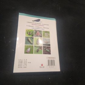 观赏昆虫识别图鉴