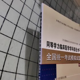 同等学力临床医学学科综合水平全国统一考试模拟试题（第2版）