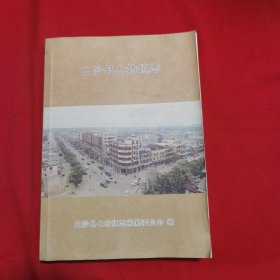 海南资料本：白沙县七坊镇志