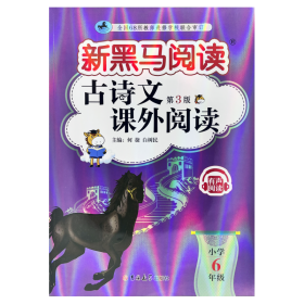 2024新版黑马阅读六年级现代文课外阅读+古诗文课外阅读6年级语文古诗文阅读理解专项训练人教版（套装2册）