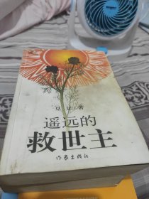 遥远的救世主 豆豆