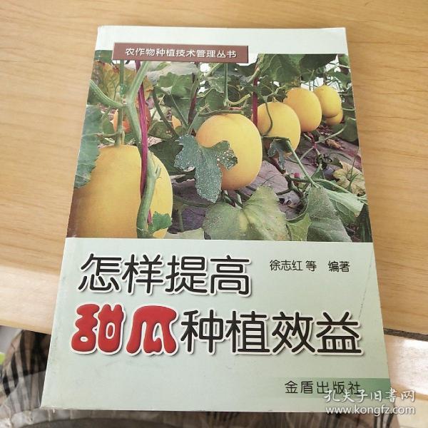怎样提高甜瓜种植效益