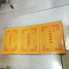 大般涅槃经（上中下）全三册