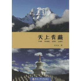 新华正版 天上青藏 童地轴 9787565017506 合肥工业大学出版社 2014-01-01