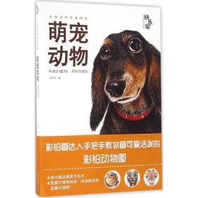 快乐绘 美术技法 王洋洋 新华正版