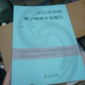 2020年中国数字财政年度报告