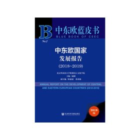 中东欧国家发展报告2018~2019