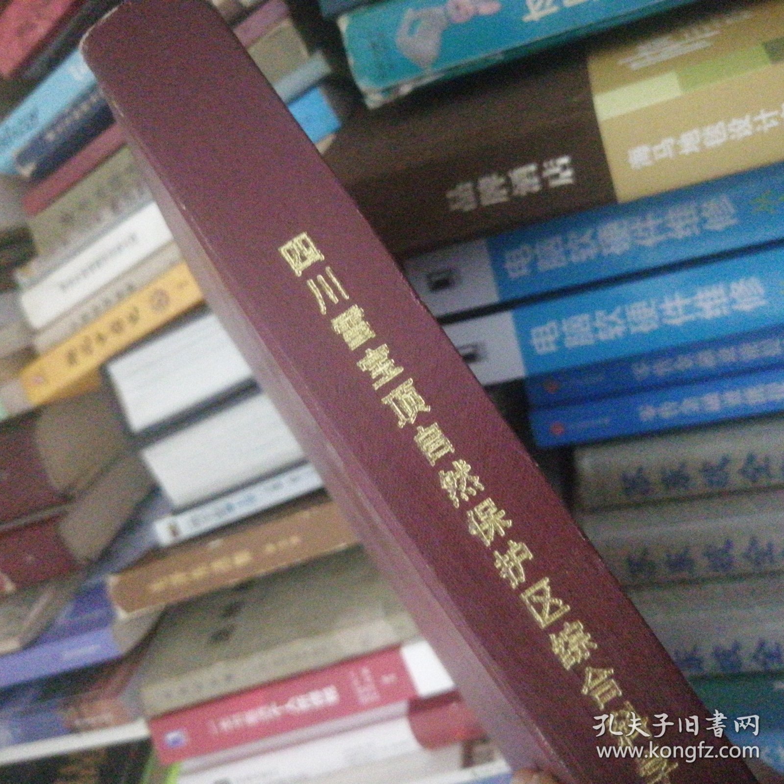 四川雪宝顶自然保护区综合科学考察报告（大16开精装） D1