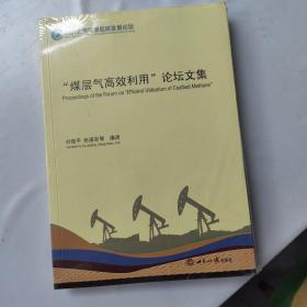 煤层气高效利用论坛文集