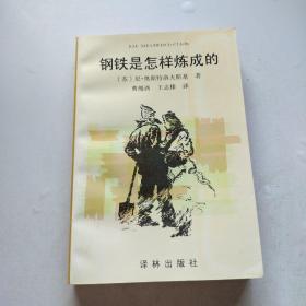 钢铁是怎样炼成的