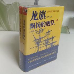 龙旗飘扬的舰队：中国近代海军兴衰史