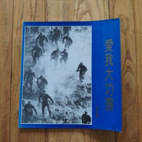 爱我大功团