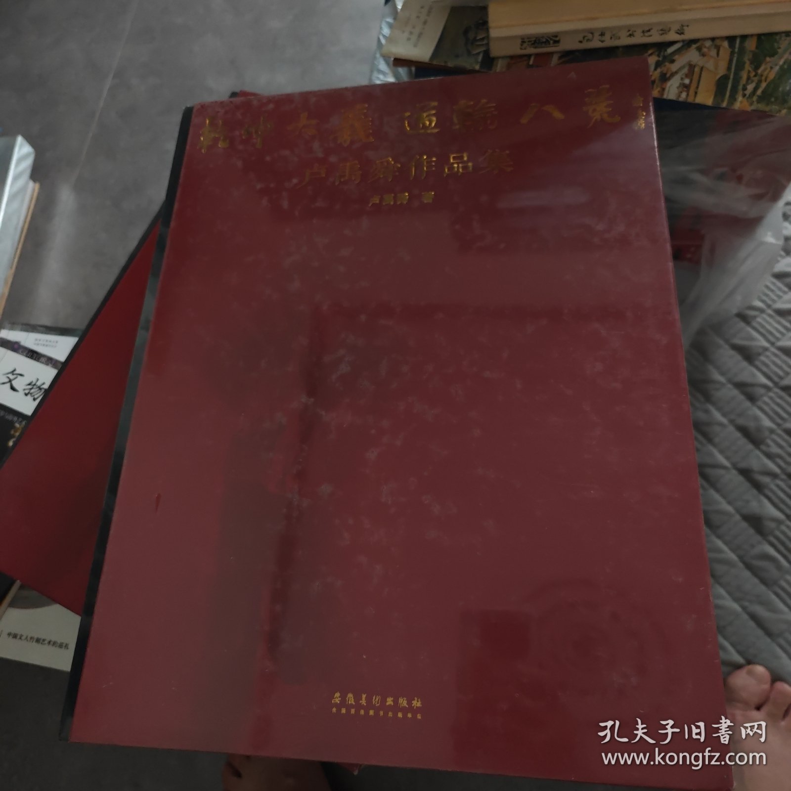 乾坤大义 道输八荒：卢禹舜作品集