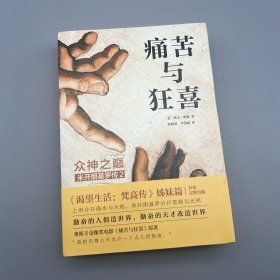 痛苦与狂喜：众神之巅：米开朗基罗传2