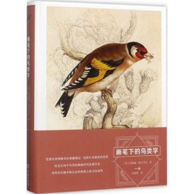 【正版书籍】画笔下的鸟类学