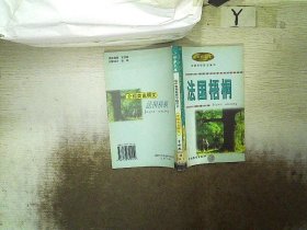 法国梧桐:高中素质教育专题作文·介绍类说明文