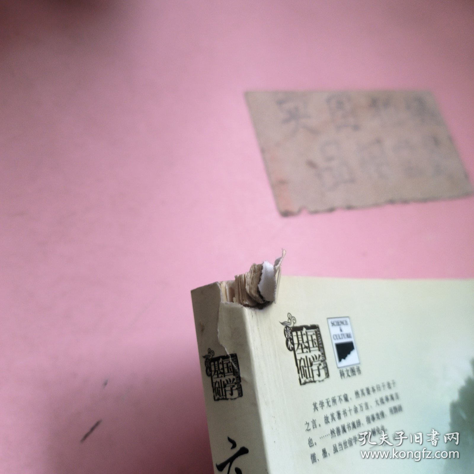 庄子译注