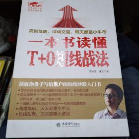 一本书读懂T+0短线战法