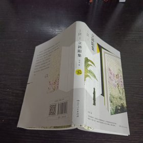 立斜阳集（纪念冯至先生逝世30周年。收录冯至先生沉思往事、怀师忆友、文艺因缘、创作感怀等文字。江湖越大，越是不能相忘。）