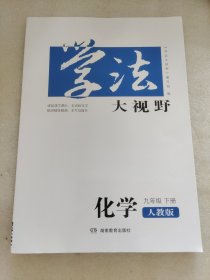 学法大视野 化学九年级下册 人教版