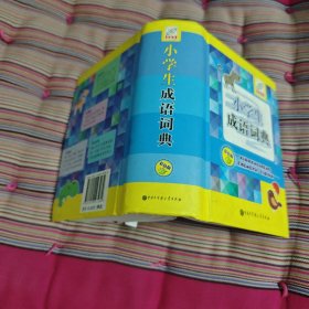 小学生成语词典（彩色版）